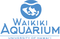 Waikiki aquarium