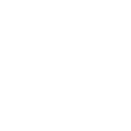 Adams beverages