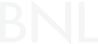 Bnl consulting
