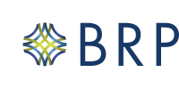 Business risk partners