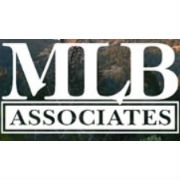 Mlb associates