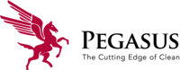 Pegasus building services