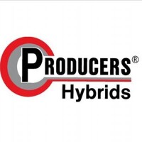 Producers hybrids