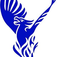 Raleigh charter high school