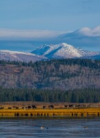 Harriman State Park of Idaho