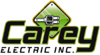 Carey electric inc