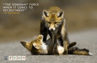 Fox Resourcing
