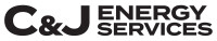 Great white energy services