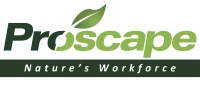 Proscape landscaping inc