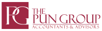 The pun group, llp