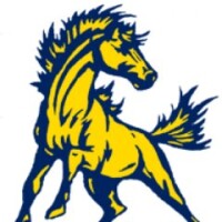 Sawyer school