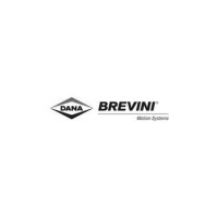 Brevini power transmission