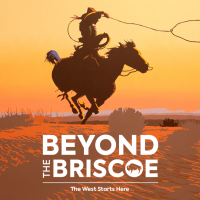 Briscoe western art museum