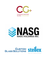 Consolidated glass holdings, inc.
