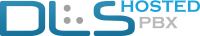 Dls internet services