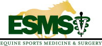 Equine sports medicine & surgery