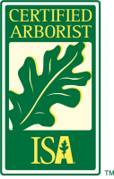International society of arboriculture