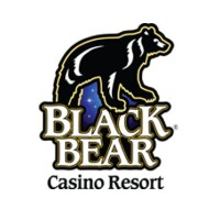Black bear resort casino