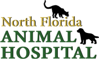 North florida animal hospital