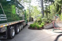 Rexius forest by products