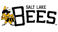 Salt lake bees