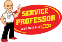 Service professor