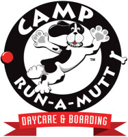 Camp run-a-mutt