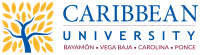 Caribbean university