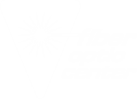 Fiber optic center