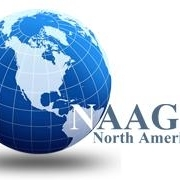 North american automotive group, inc.