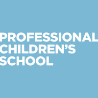 Professional children's school