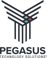 Pegasus technology solutions