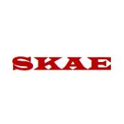 Skae power solutions