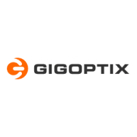 Gigoptix inc.
