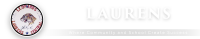 Laurens central school