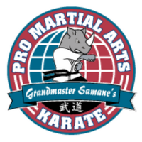 Pro martial arts franchise corp