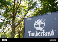 Timberland lumber co