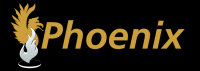 Phoenix integrated store consultants