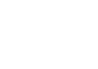 Ibi international