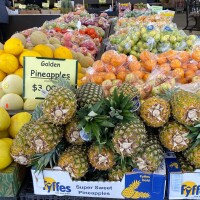 Produce junction inc