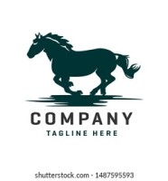 Running pony