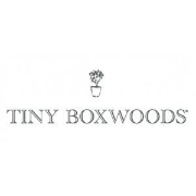 Tiny boxwoods productions