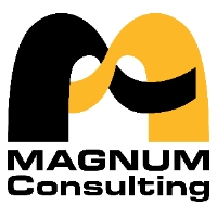 Magnum consulting