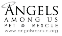 Angels among us pet rescue