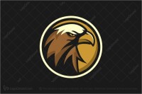Brown eagle
