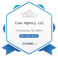 Csav agency llc
