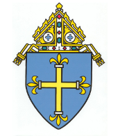 Diocese of duluth