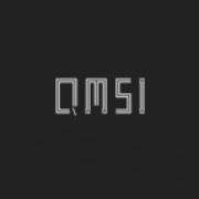 Quality manufacturing systems, inc. - qmsi