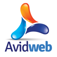 Avid web solutions