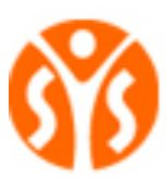Srs consulting inc